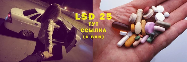 мяу мяу мука Алзамай