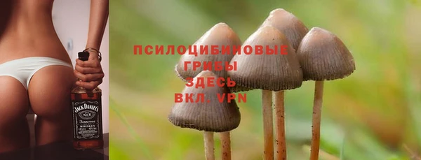 хмурый Абинск