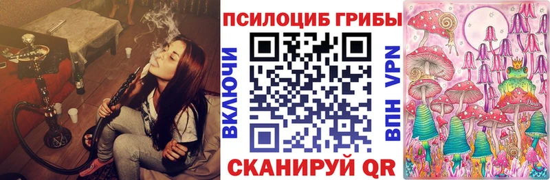 Псилоцибиновые грибы Magic Shrooms  сколько стоит  блэк спрут онион  Вышний Волочёк 